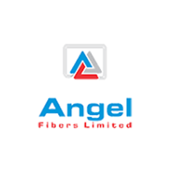 Angel Ltd